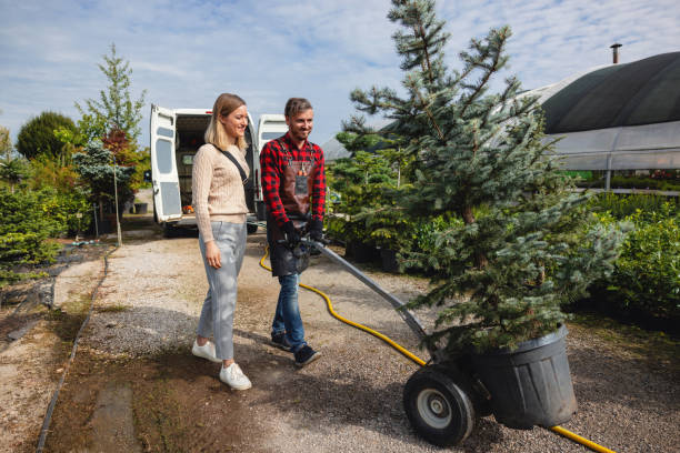 Best Affordable Tree Service  in Moscow, PA